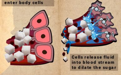 The Cause of Type 2 Diabetes – What Happens in Insulin Resistance Diabetes?