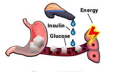 What happens when you have diabetes?