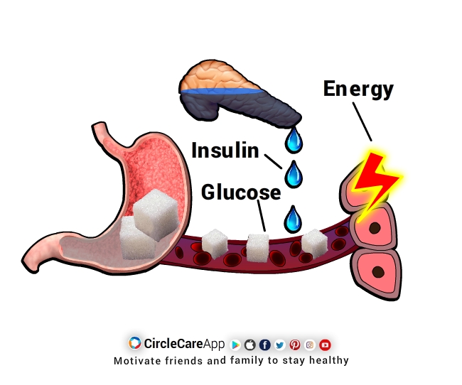 What-happens-to-your-body-when-you-have-diabetes