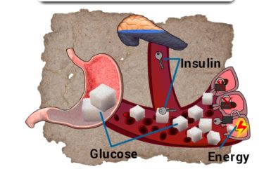 What is Diabetes?