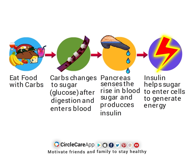 what is insulin