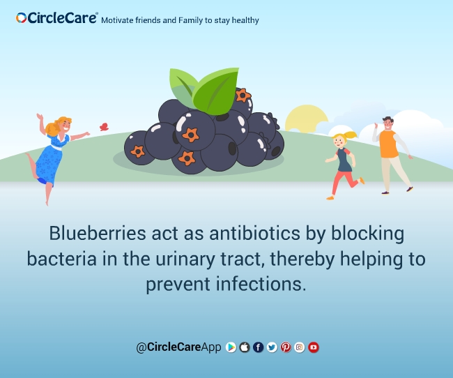 Blueberries-act as antibiotics-CircleCare