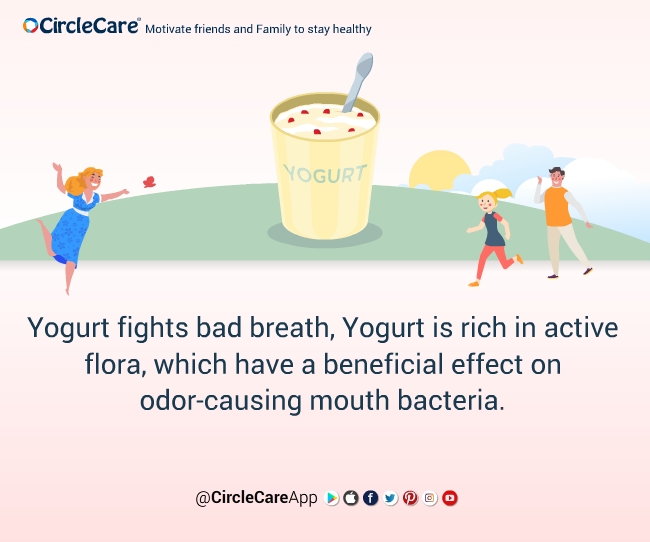 Yogurt fights bad breath-CircleCare