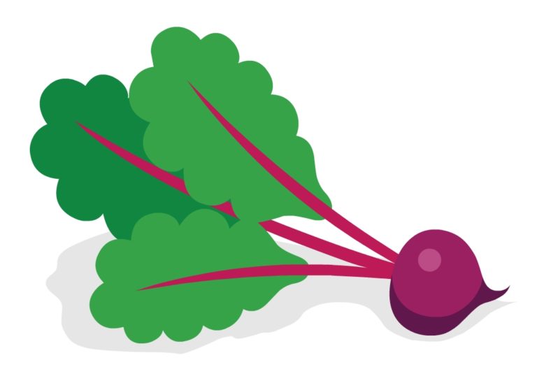 Top 10 most nutritious vegetables in the world CircleCare