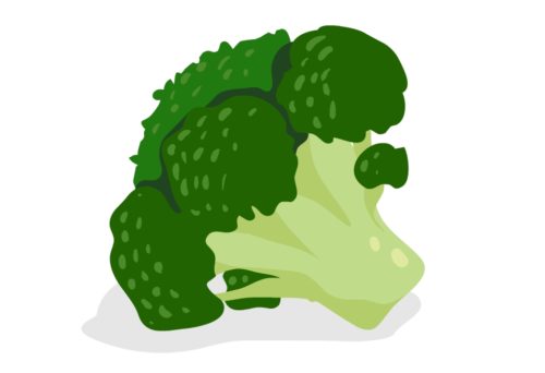 Nutritious-Vegetable-Broccoli-CircleCare