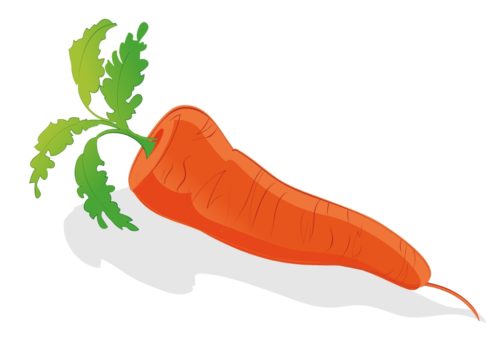 Nutritious-Vegetable-Carrots-CircleCare