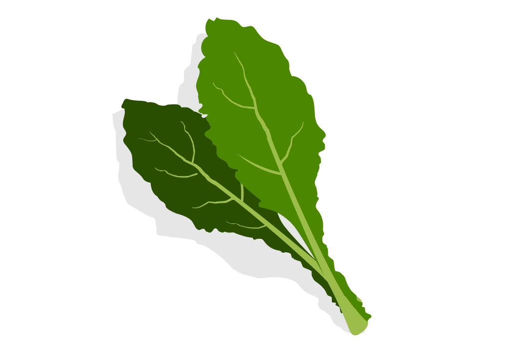 Top 10 most nutritious vegetables in the world CircleCare