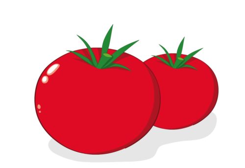 Nutritious-Vegetable-Tomato-CircleCare