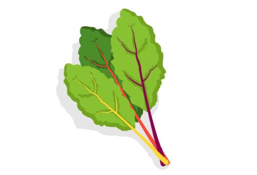 Nutritious-Vegetables-Chard-CircleCare