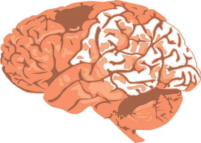 Moderate-Stages-Alzheimer-CircleCare