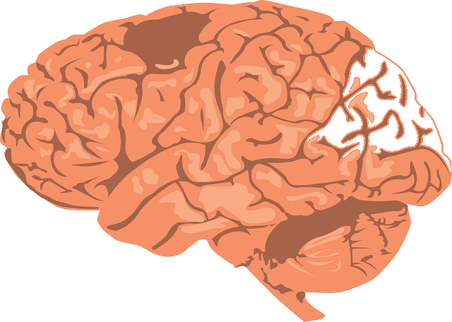 Pre-Dementia-Stages-of-Alzheimer-CircleCare