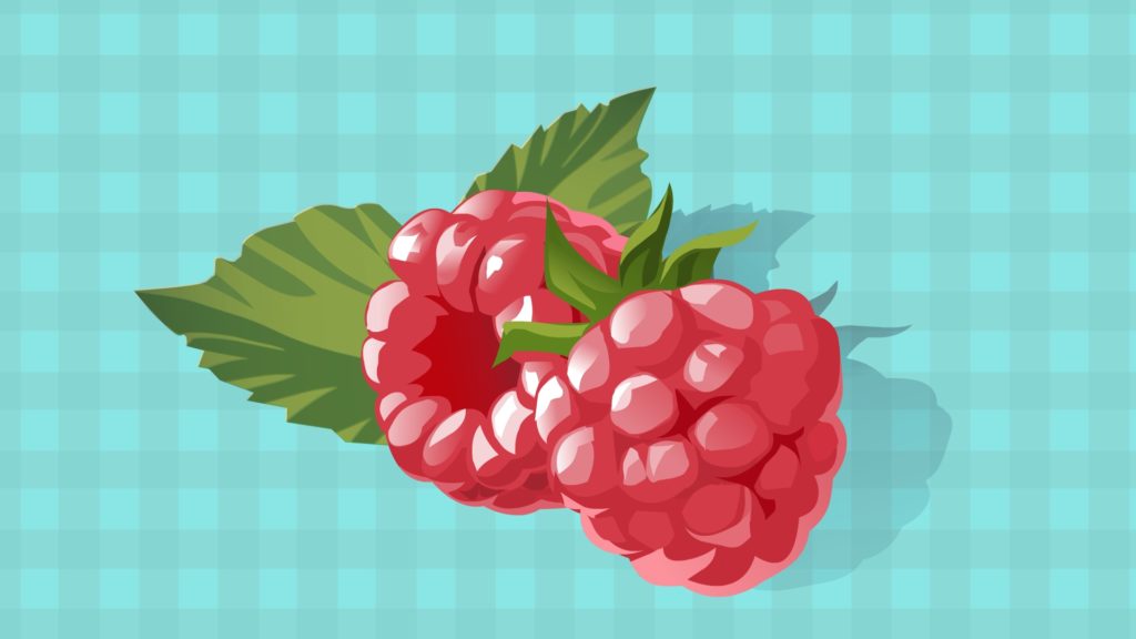 Raspberry-CircleCare