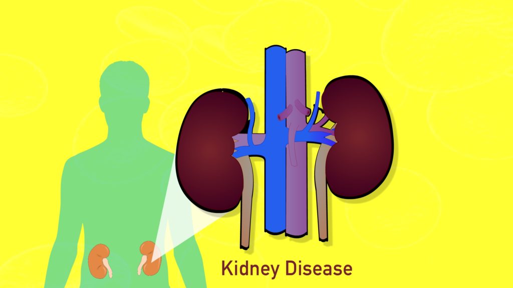 Hypertension-complication-kidney-disease-CircleCare