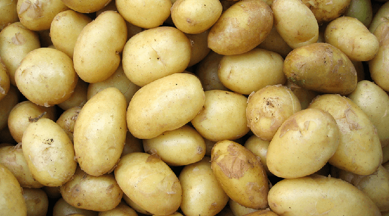 Add-Potatoes-to-your-weight-loss-diet-CircleCare