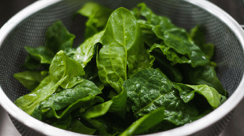 Eat-Spinach-Everyday-circlecare