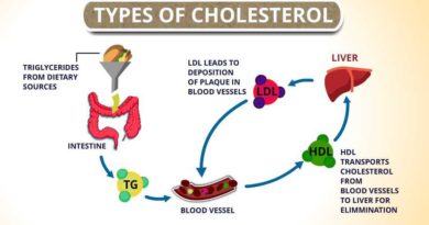 Types-of-cholesterol-circlecare