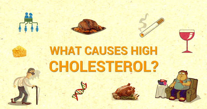 What Are The Causes Of High Blood Cholesterol | CircleCare