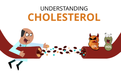 Infographic: Understanding What Is Cholesterol