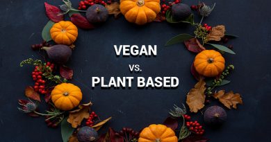 Vegan-vs-Plant-Based-diet-circlecare