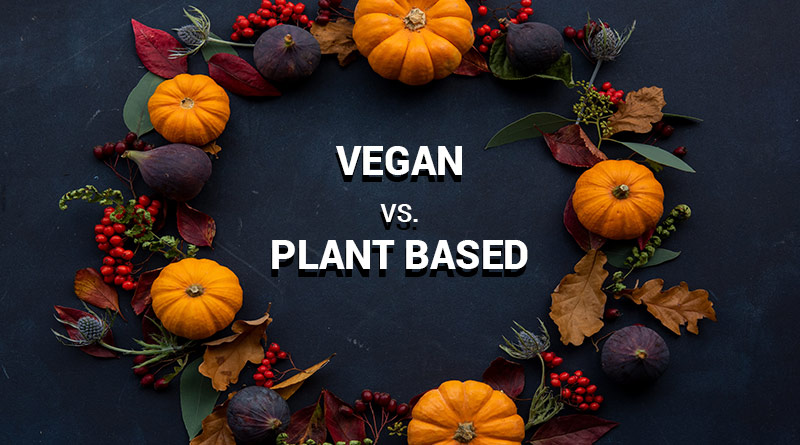 Vegan-vs-Plant-Based-diet-circlecare