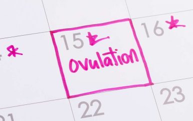 How to Track Your Ovulation to Get Pregnant?