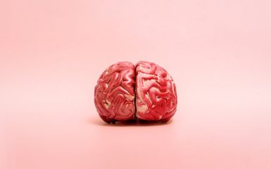How the Brain Reveals our Personality