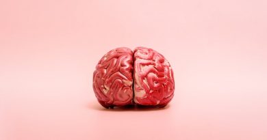 How the Brain Reveals our Personality