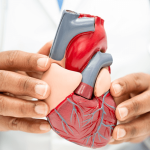 myCircleCare-enhancing-employee-heart-health-utilizing-the-fick-principle-for-cardiac-output-assessment