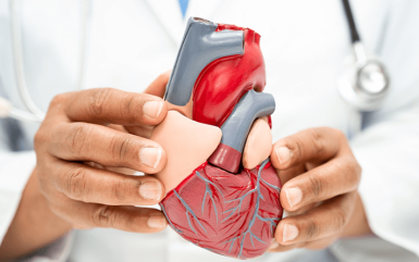 Enhancing Employee Heart Health: Utilizing the Fick Principle for Cardiac Output Assessment