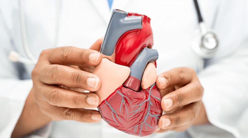 myCircleCare-enhancing-employee-heart-health-utilizing-the-fick-principle-for-cardiac-output-assessment