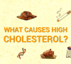 What-causes-high-cholesterol-circlecare